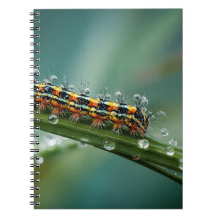 Farbiges Raupe Dead Notebook Notizblock
