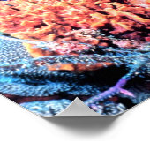 Farbiges Sea Sponge Poster 15x15 (Ecke)