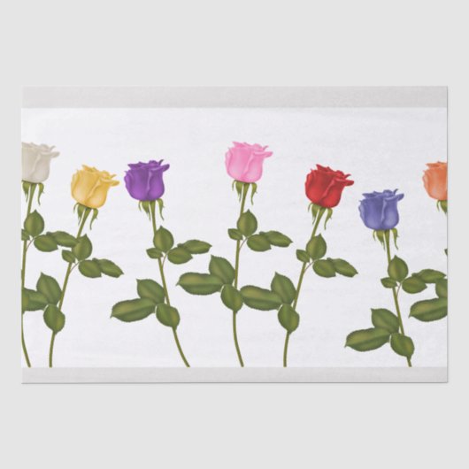 Farbiges Sortiment an Rose Seidenpapier (Vorderseite)