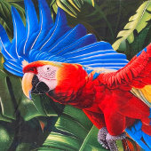 Farbiges Strandtuch von tropischem Maca