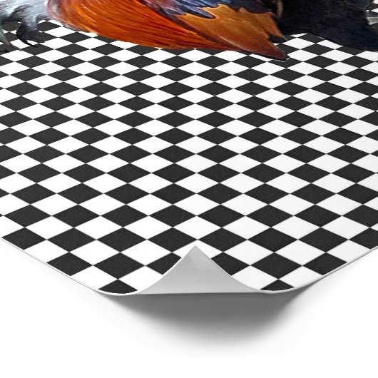 Farbiges Struthoster-Poster Poster (Ecke)