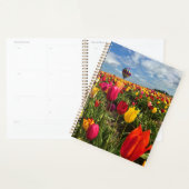Farbiges Tulip Feld mit Ballon Planer (Anzeige)