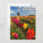 Farbiges Tulip-Feld mit ballon-Postkarte Postkarte (Vorne/Hinten)