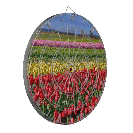Farbiges Tulpenfeld Dartscheibe (Vorderseite Links)