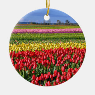 Farbiges Tulpenfeld Keramikornament