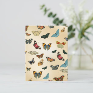 farbiges Vintages Butterfly-Illustrationsmuster Postkarte