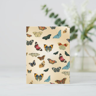 farbiges Vintages Butterfly-Illustrationsmuster Postkarte
