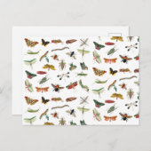 Farbiges Vintages Insektenbild Feiertagspostkarte (Vorne/Hinten)