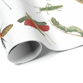 Farbiges Vintages Insektenbild Geschenkpapier (Rolleneckpunkt)