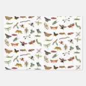 Farbiges Vintages Insektenbild Geschenkpapier Set (Vorderseite 2)