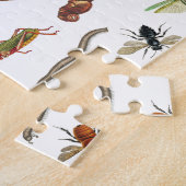Farbiges Vintages Insektenbild Puzzle (Seite)