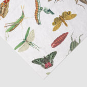 Farbiges Vintages Insektenbild Seidenpapier (Ausschnitt)