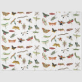 Farbiges Vintages Insektenbild Seidenpapier (Vorderseite)