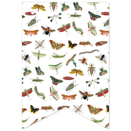 Farbiges Vintages Insektenbild Wimpelkette (Zweite Fahne)