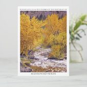 Farbiges Violett orangefarbenes Gelb jedes Jahr zu (Stehend Vorderseite)