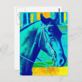 Farbiges Western Pferd Postkarte (Vorne/Hinten)