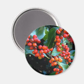 farbiges Wintergeschenk Magnet (Vorderseite/Rückseite)