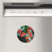 farbiges Wintergeschenk Magnet (In Situ (Geschirrspüler))