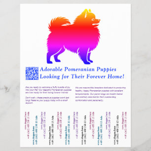 Farbiges Zeichnung eines Pomeranian-Welpen Flyer