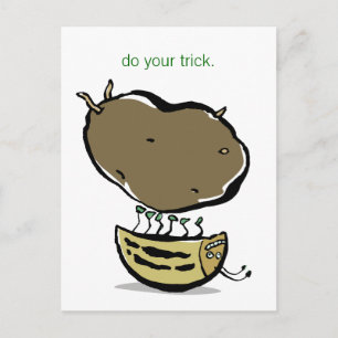 Farbkäfer Postkarte