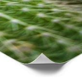 Farbkakti Poster (Ecke)