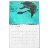 Farbkalender Kalender (Feb 2027)