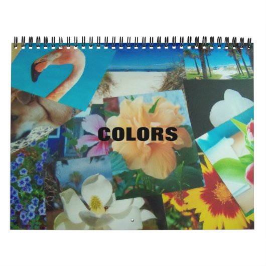 Farbkalender Kalender (Titelbild)