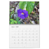 Farbkalender Kalender (Mär 2027)