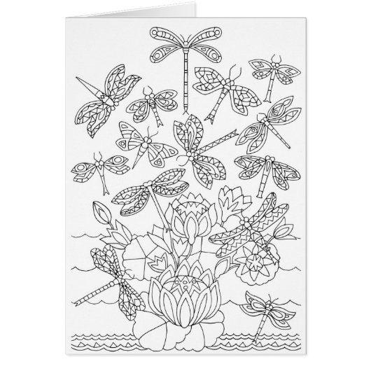 Farbkarte für Libellen und Lilien (Vorne)