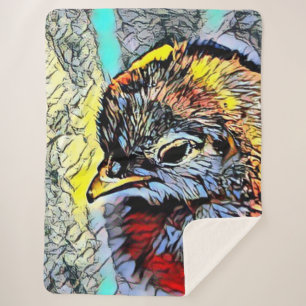 Farbkick - Kick Sherpadecke