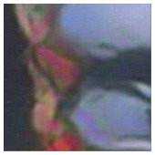 Farbkick - Löwenkönig Stoff (Nahaufnahme)