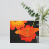 farbkoordiniert postkarte (Stehend Vorderseite)