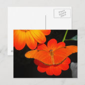 farbkoordiniert postkarte (Vorne/Hinten)