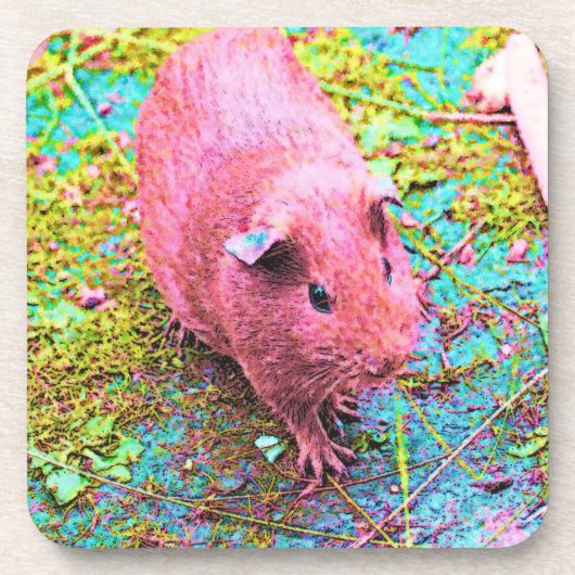 Farblackierung von Guinea Getränkeuntersetzer (Vorderseite)