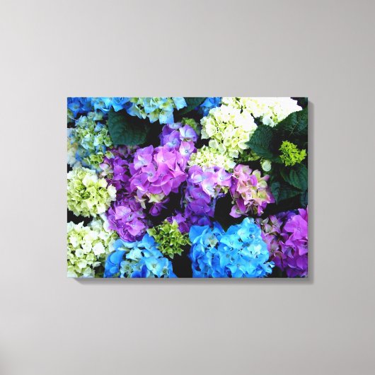 Farblich, Blume, Leinwand mit Hintergrundfarbe, Le (Vorderseite)