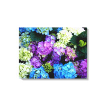 Farblich, Blume, Leinwand mit Hintergrundfarbe, Le