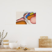 Farbliche Darstellung eines DNA-Strangs Poster (Küche)