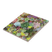 Farbliche Sukkulente Fliese (Seite)