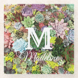 Farbliche Sukkulente Glasuntersetzer