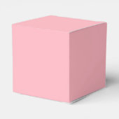 Farblicht rosa geschenkschachtel (Rückseite)