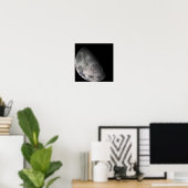 Farbmosaik des Mond der Erde Poster (Heimbüro)