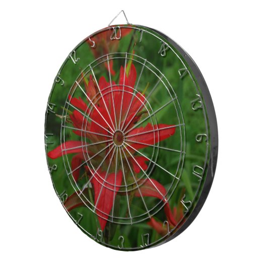 Farbpinsel Dartscheibe (Vorderseite rechts)