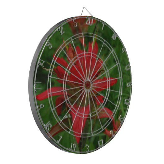 Farbpinsel Dartscheibe (Vorderseite Links)