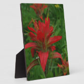 Farbpinsel Fotoplatte (Seite)