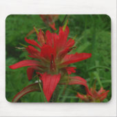 Farbpinsel Mousepad (Vorne)