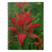 Farbpinsel Notizblock (Vorderseite)