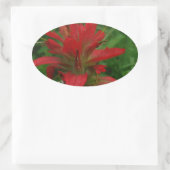 Farbpinsel Ovaler Aufkleber (Tasche)