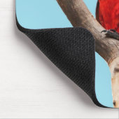Farbporträtfoto eines Papageis Mousepad (Ecke)