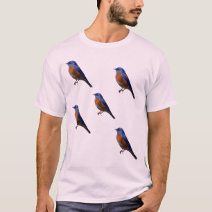 Farbprofil von Blauem und Orangefarbenem Eisvogel T-Shirt