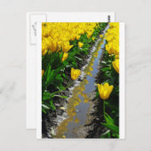 Farbreihen Postkarte (Vorne/Hinten)